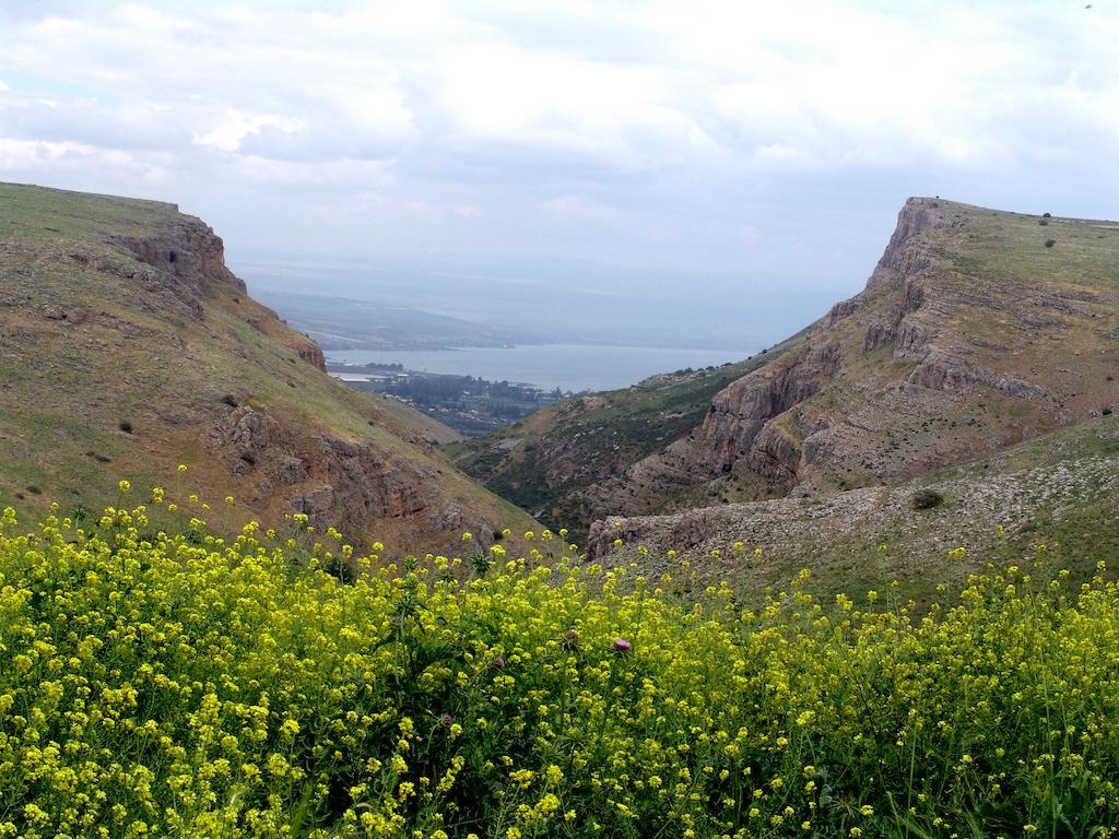 Arbel Holiday Homes Eksteriør bilde